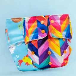 Rainbow + Pet Love variant