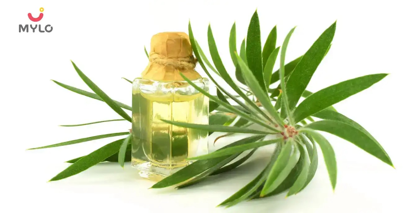 Can Tea Tree Oil Help Rejuvenate Your Skin?  