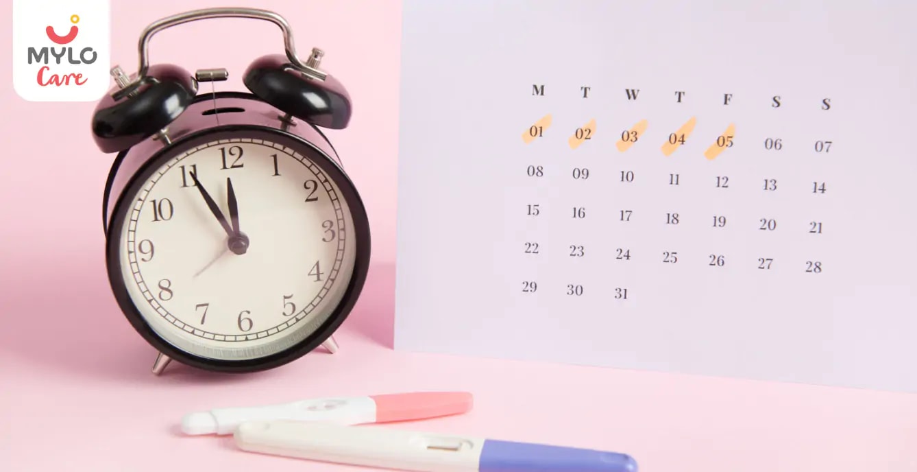 Ovulation Kit 101: A Beginner's Guide to Tracking Fertility & Maximizing Your Chances of Conception