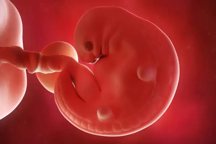 What should every pregnant woman know about their pregnancy in terms of weeks and months?  