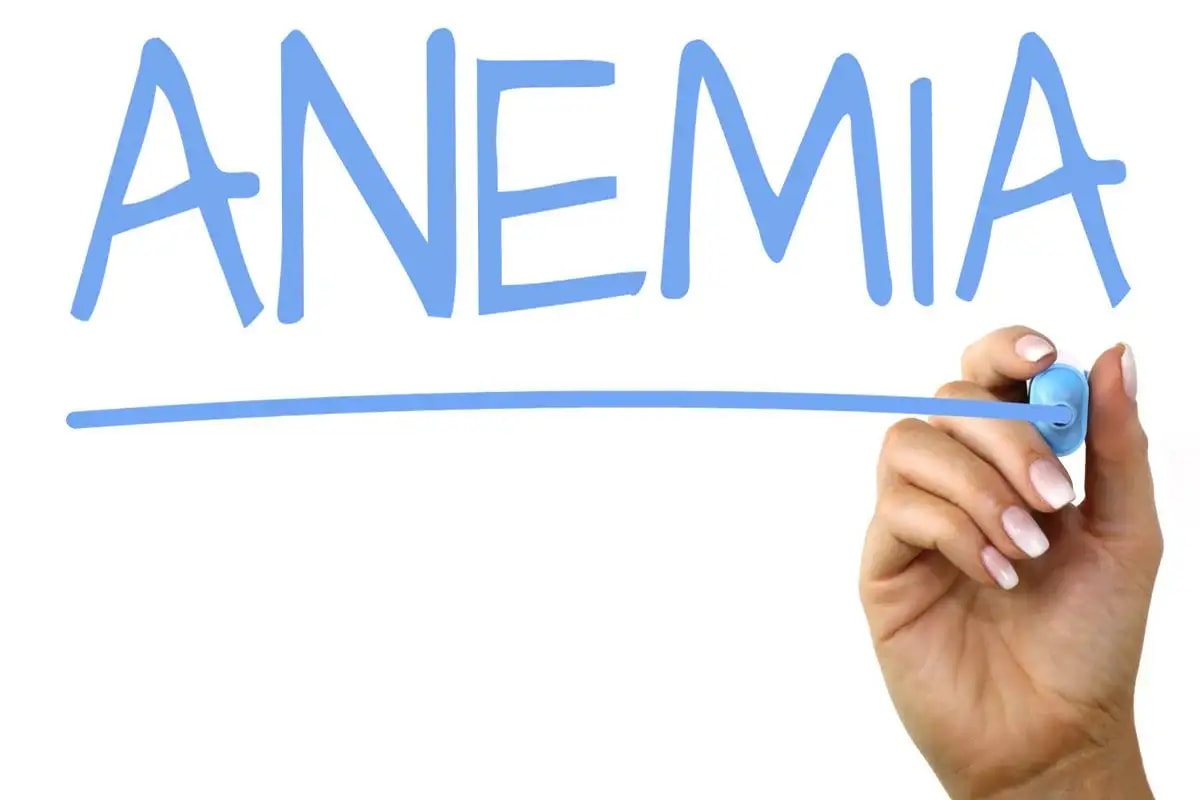 Wanna Become an Iron Woman? Learn Ways to Prevent and Treat Anemia During Pregnancy