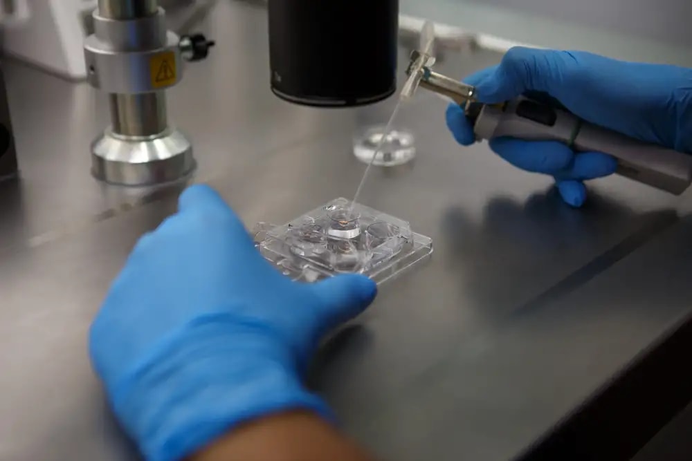 Embryo Freezing: Purpose & Outcome