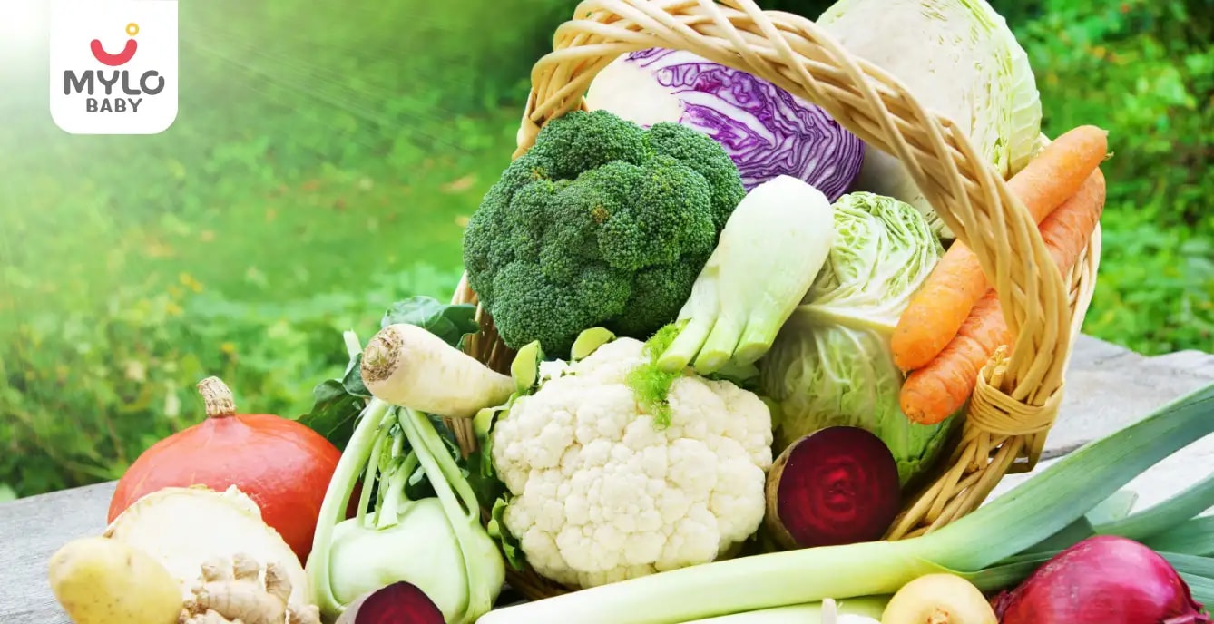 The A-Z Guide to Identifying Winter Vegetables for Kids