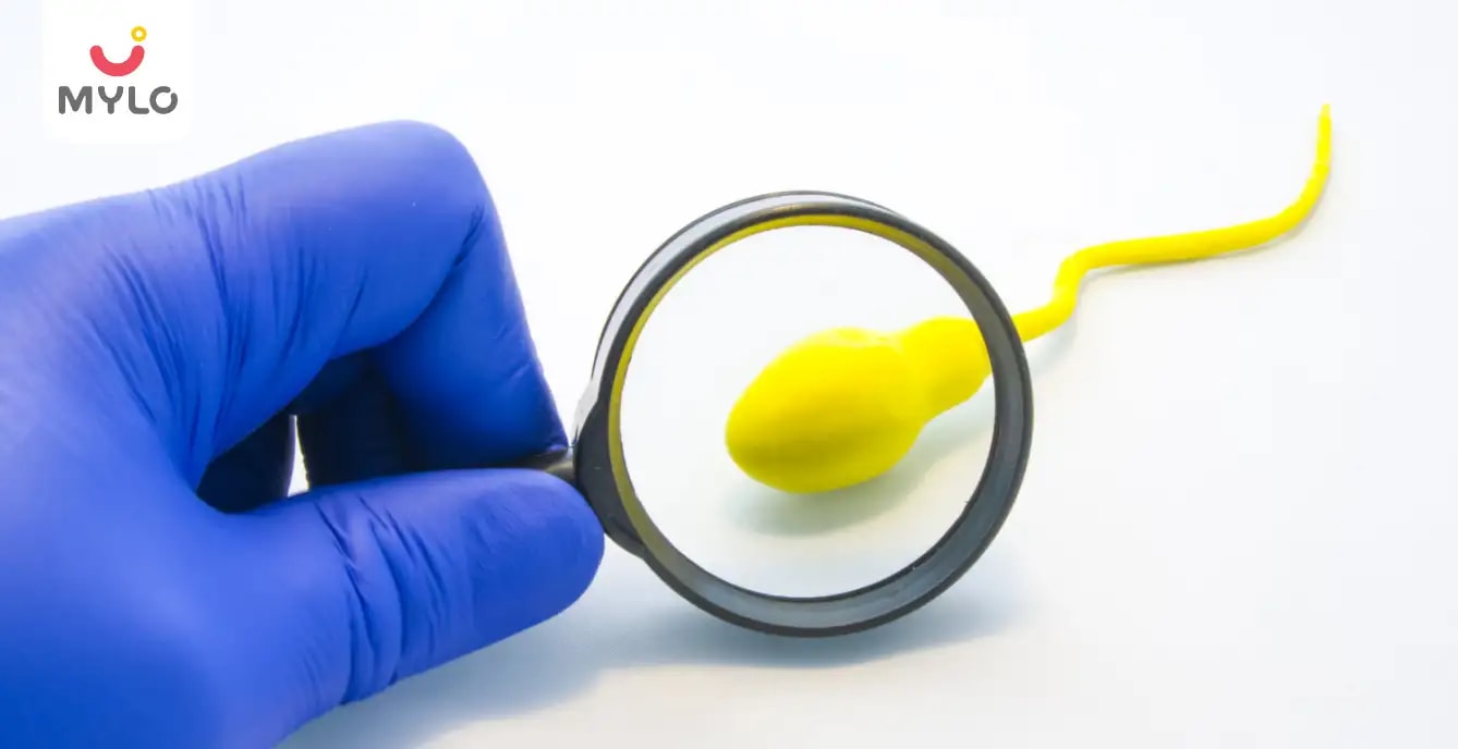 Semen Analysis: A Comprehensive Look at Male Reproductive Health