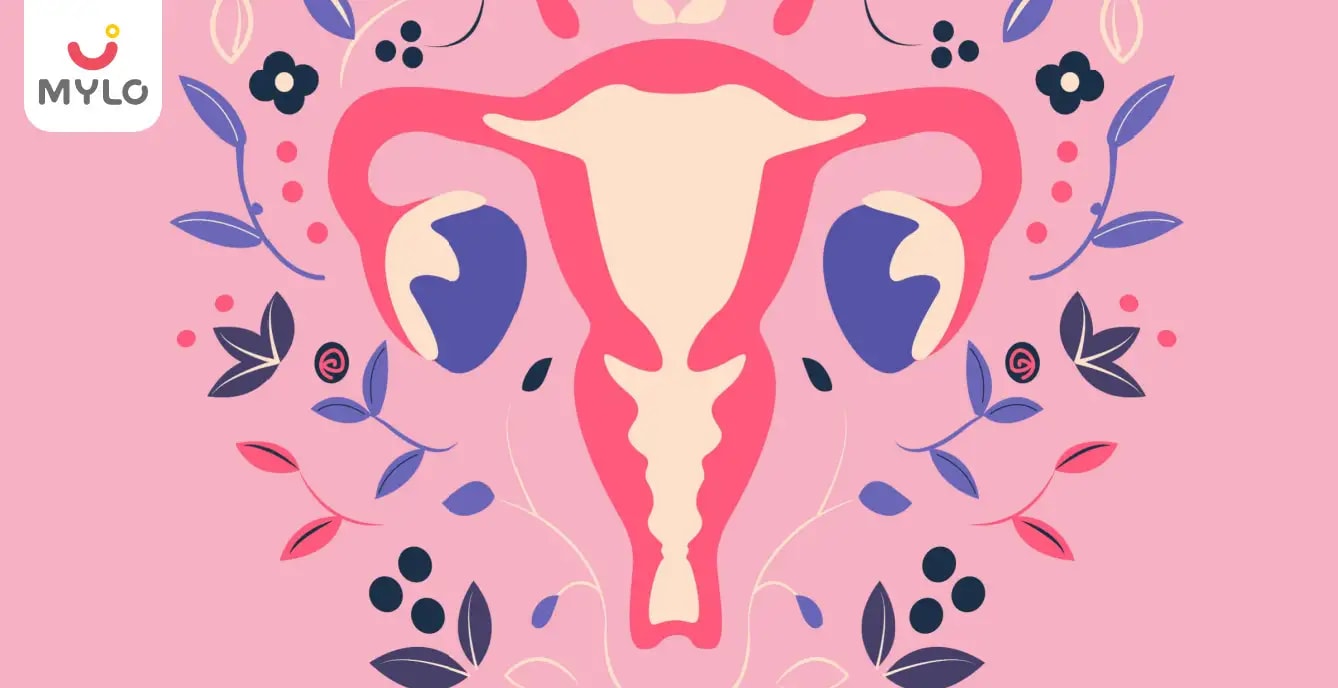 Fat Vagina: Average Size, Types, Causes & Body Positivity Guide (2026)