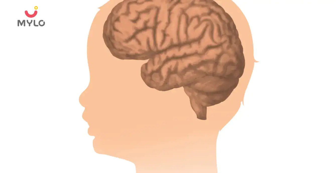 Baby Brain Development: What You Should Know 