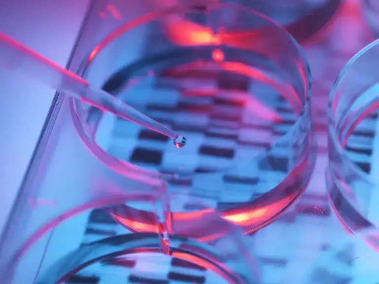 Karyotype Test: Your Key to Identifying Genetic Diseases & Fertility Issues