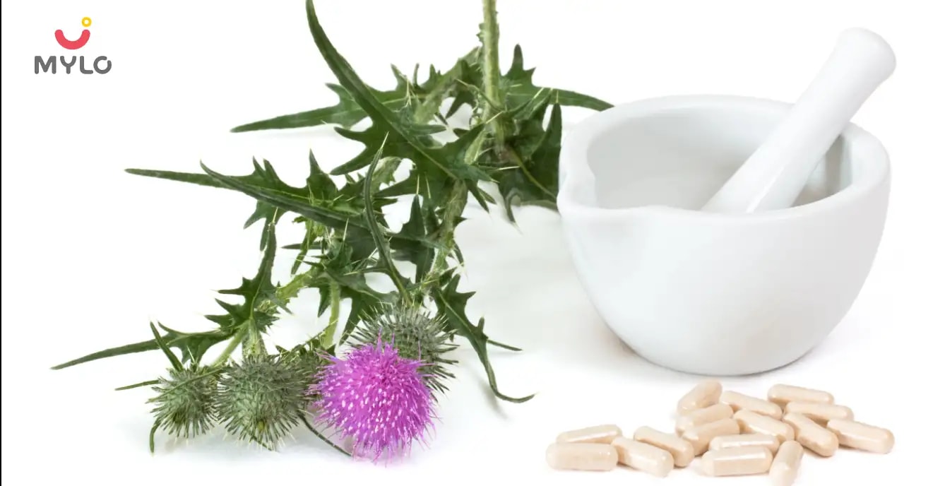 Milk Thistle in Ayurveda: Unlock The Healing Potential and Health Benefits of This Herb