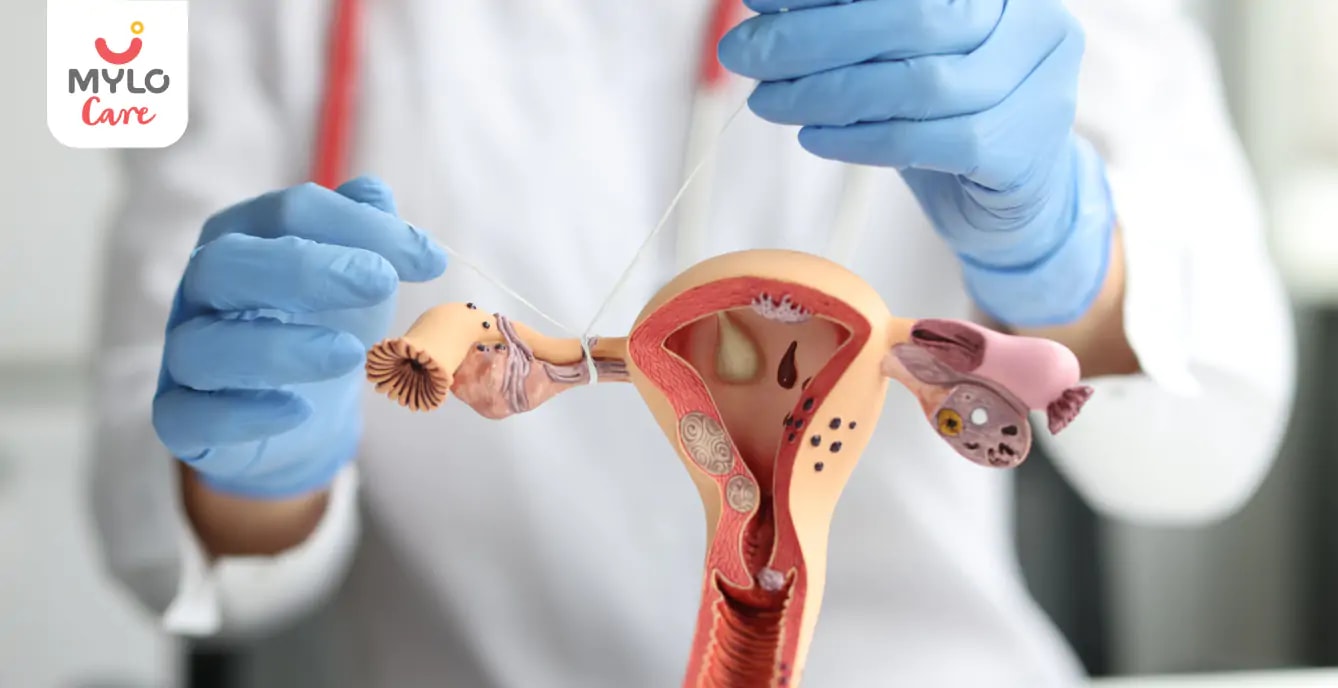 Blocked Fallopian Tubes: How They Affect Your Chances of Conceiving