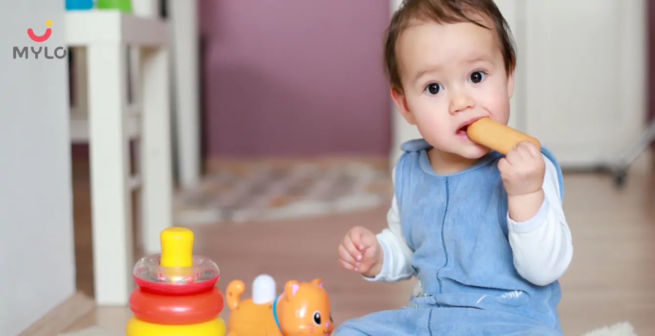 10 Month Old Baby Food Chart/Meal Plan – Week 2 