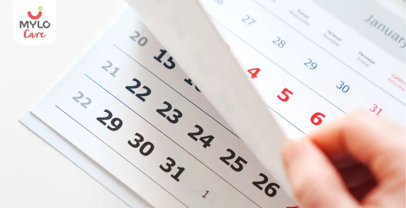 2024 Calendar with Holidays and Festivals of India