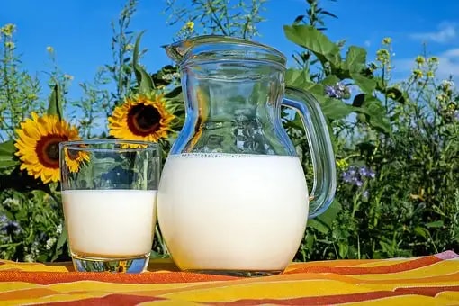 Frequently asked questions about milk production