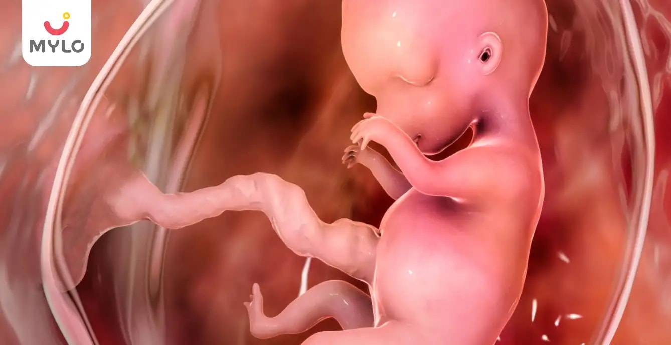 How to Increase Amniotic Fluid: Foods, Tips and Tricks for Expecting Mothers