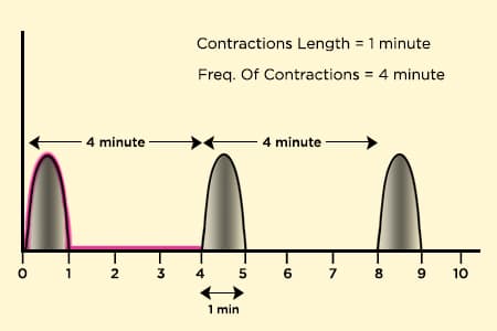 contraction english