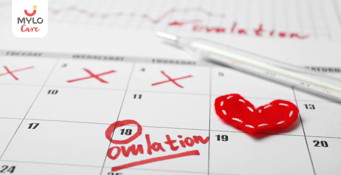 Late Ovulation in Hindi | लेट ओव्यूलेशन क्या होता है और गर्भधारण की संभावनाओं पर कैसे होता है इसका असर?