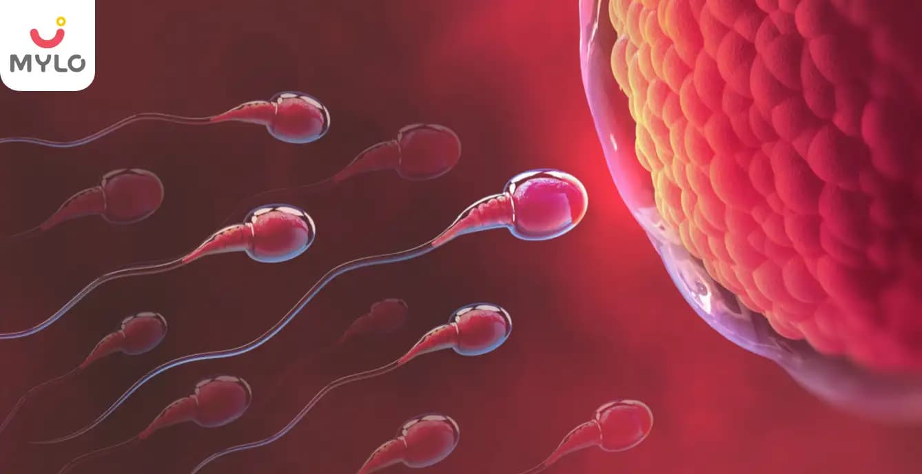 IUI Sperm Count: How Much Sperm is Needed for IUI?