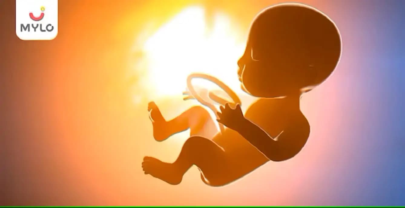 கர்ப்ப காலத்தின் போது கருவின் வளர்ச்சி மற்றும் அதன் வளர்ச்சி நிலைகள்(Fetal Growth and Development During Pregnancy In Tamil)
